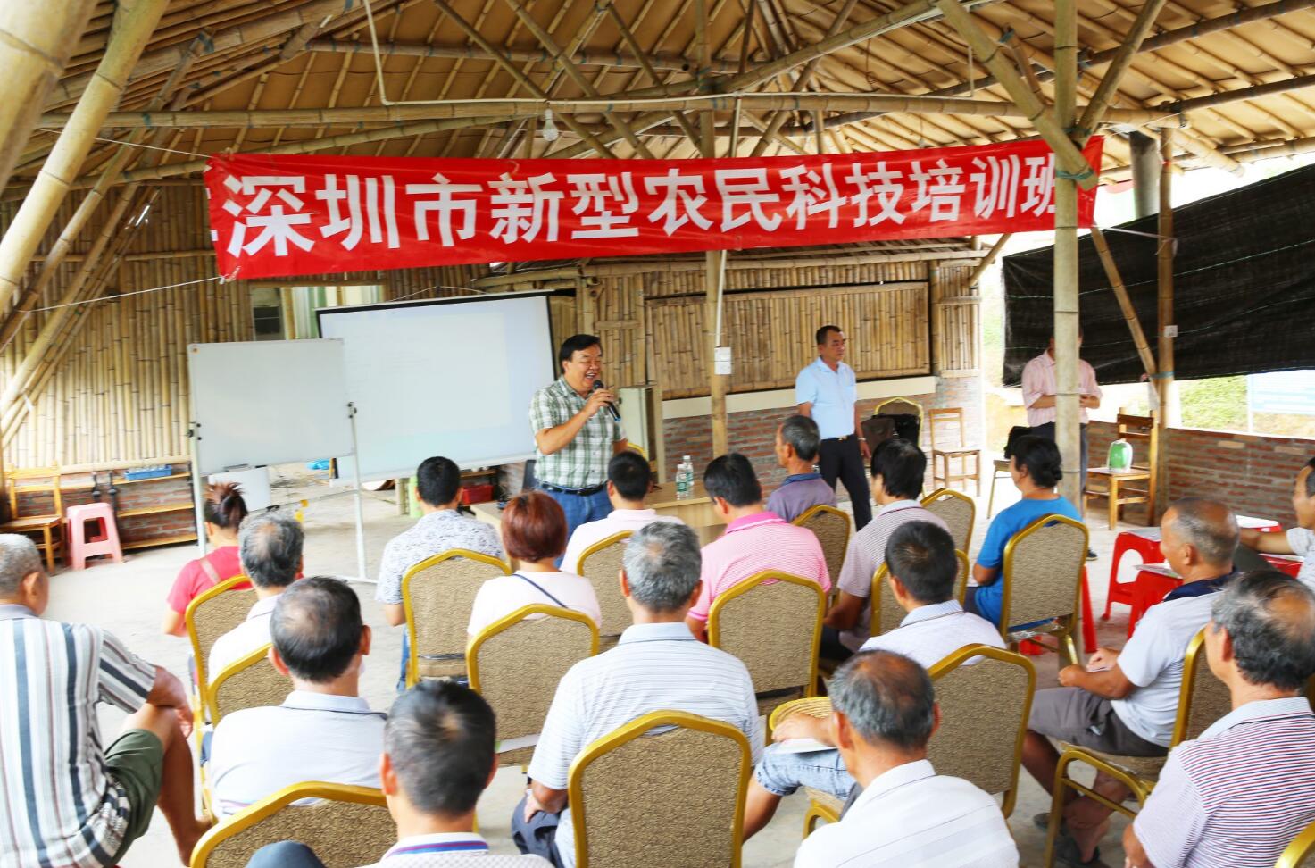 香港宝典免费资料网